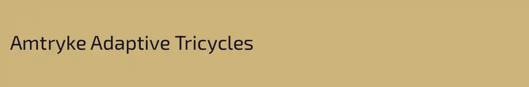 Amtryke Adaptive Tricycles